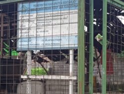 Memprihatinkan Kondisi TPST Di Desa Jimbaran Kulon,Tidak Terurus