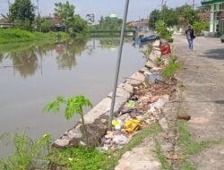 Plengsengan Sungai Kedung Uling Desa Kemantren Kecamatan Tulangan Ambles Dan Butuh Perhatian Dari Pemerintah