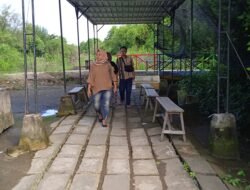 WBT Dan Pulau Lusi Di Jabon Perlunya Pengembangan Dan Penanganan Legalitas