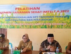 Pelatihan Manajemen Tanaman Sehat (MTS) Tahun 2022 Di Dusun Kedung Bulus