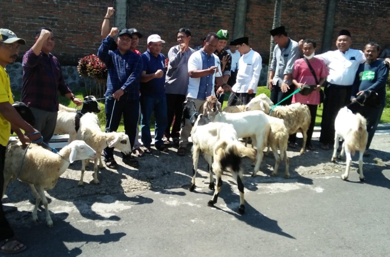 Amanatul Ummah Berqurban 50 Sapi dan 250 Kambing