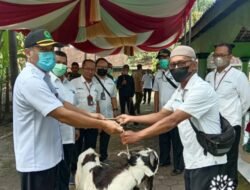 Perhutani Mojokerto Serahkan Hewan Qurban Kepada Takmir Mushola An Nur Desa Lespadangan