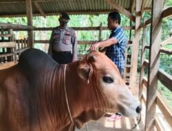 Subsatgas OPS Aman Nusa II Satsamapta Polres Aceh Timur Melakukan Pemeriksaan Hewan Ternak Warga