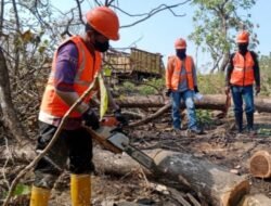 Minimalisir Kecelakaan Kerja, Perhutani Mojokerto Lakukan Inspeksi K3L Bersama LMDH di Lamongan