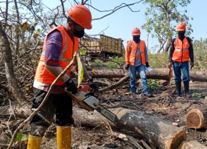 Minimalisir Kecelakaan Kerja, Perhutani Mojokerto Lakukan Inspeksi K3L Bersama LMDH di Lamongan