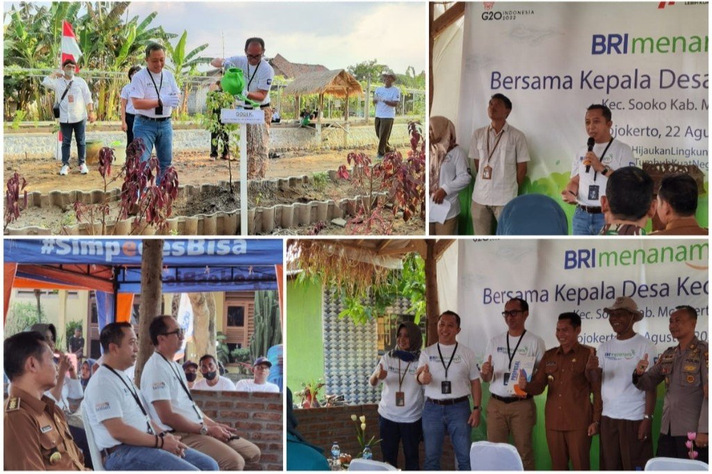 Kegiatan BRI Mojokerto Menanam Bersama Kepala Desa Kedungmaling Berlangsung Meriah