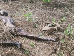 Mayat Mengering Ditemukan di Mojokerto