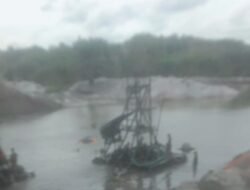 Diduga Ilegal, Kawasan Bakau Kuruk Belo Laut Habis Dihajar Penambang Timah