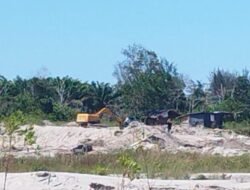 Tambang Pasir Tanjung Ratu Desa Rebo Kecamatan Sungailiat Mulai Kembali Beraktivitas