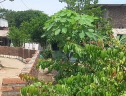 Akses Rumah Bu Kalsum Ditembok, Konflik Ego Sektoral di Mojokerto Dimulai