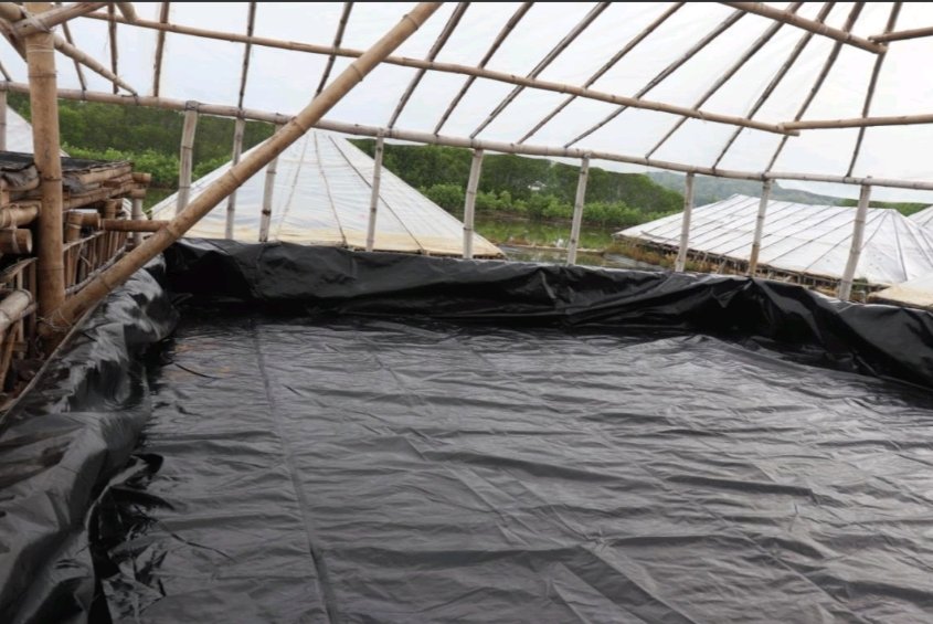 6 Alasan Mengapa Memilih Produk Terpal PT. Hui Xin