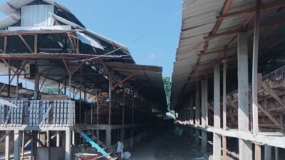 Buang Limbah Belatung, Papa Kana Bakal Didemo Warga Kesimantengah