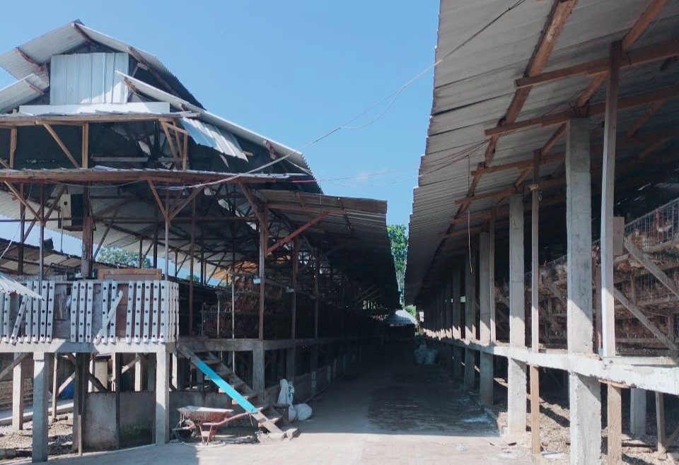 Buang Limbah Belatung, Papa Kana Bakal Didemo Warga Kesimantengah