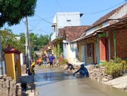 Dapat Pokir Rp 200 Juta, Pemdes Dlanggu Rabat Beton Jalan Lingkungan Dusun Segaran