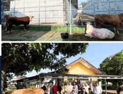 Lapas Perempuan Kelas IIA Bandar Lampung Gelar Sholat Idul Adha Serta Sembelih Tiga Ekor Sapi Dan Satu Ekor Kambing