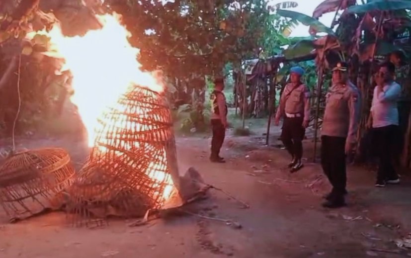 Polsek Ngoro Berantas Arena Judi Sabung Ayam di Desa Bandarasri