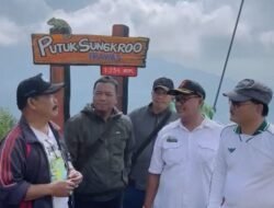 Kadishut Jatim Survey Take Off Paralayang Trawas, Anang Ashanty Tanam Sukun di Hutan Pringgodani