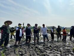 Kabupaten Mojokerto Siap Dukung Swasembada Pangan