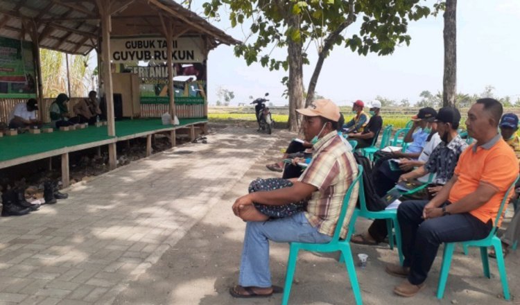 Program IPDMIP di Ngawi, Fasilitasi Rantai Nilai Lanjutan