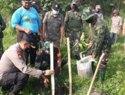 Antisipasi Bencana di Mojokerto, Kapolsek Mojosari Lakukan Penanaman Pohon