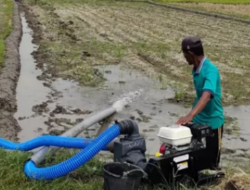 Antisipasi Kekeringan, Disperta Jombang Sediakan Pinjaman 30 Pompa untuk Petani Secara Gratis