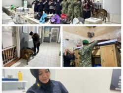 Libatkan TNI-Polri dan Anjing Pelacak K-9, Lapas Kelas I Bandar Lampung Gelar Razia Gabungan, Ike Rahmawati Tegaskan Komitmen Bersih dari Halinar