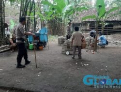 Polsek Jetis Gerebek Judi Sabung Ayam di Desa Kupang