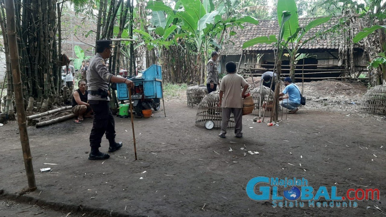 Polsek Jetis Gerebek Judi Sabung Ayam di Desa Kupang