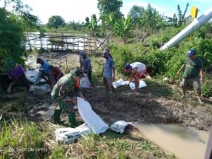 Kesigapan TNI di Lamongan dalam Perbaiki Tanggul Jebol