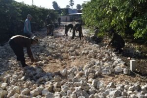 Kodim 0811 Tuban Bantu Pengerjaan Infrastruktur Jalan Desa Dan Renovasi Mushola Ar-Rahman