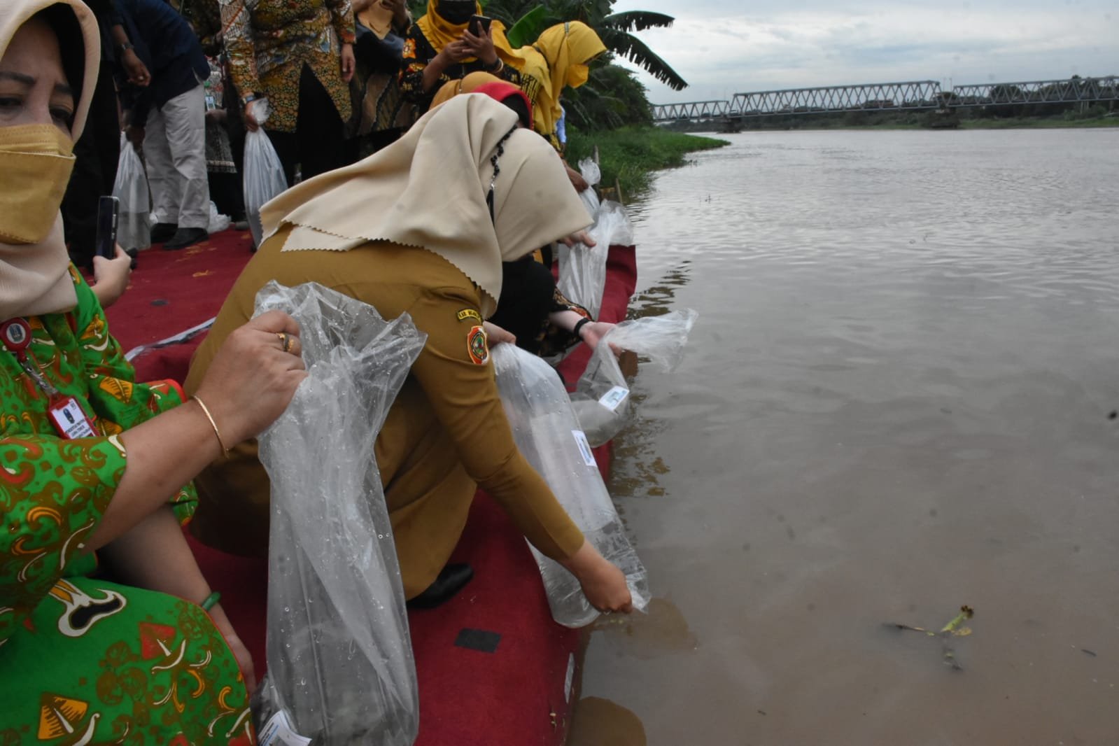 Bupati dan Ketua Forikan Jatim Lepas 50 Ribu Bibit Ikan di MKP Brantas