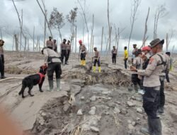 Maksimalkan Pencarian Jenasah Erupsi Semeru, Mabes Polri Terjunkan K-9