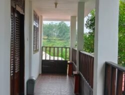 Penginapan Yang Sejuk Dan Asri Di Lereng Gunung Penanggungan,Mojokerto Jawa Timur