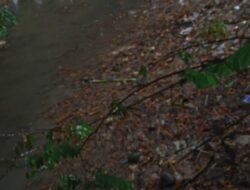 Banyak Timbunan Sampah Plastik Disungai Kanal Desa Gedang Pasar Porong Baru