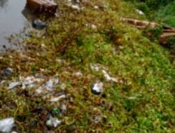 Banyak Timbunan Sampah Plastik Disungai Kanal Desa Gedang Pasar Porong Baru