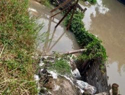 Plengsengan Sungai Kedung Uling Desa Kemantren Kecamatan Tulangan Ambles Dan Butuh Pemerhati Dari Pemerintah