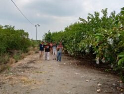 Anggota Perangkat PemDes Sidomulyo Kecamatan Buduran Kabupaten Sidoarjo Berkunjung Ke Wisata Petik Kebun Jambu Kebaron