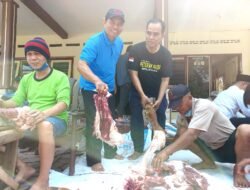 Bekisar Mojokerto Sembelih Sapi Berbobot 920 Kg dari Kiai Asep