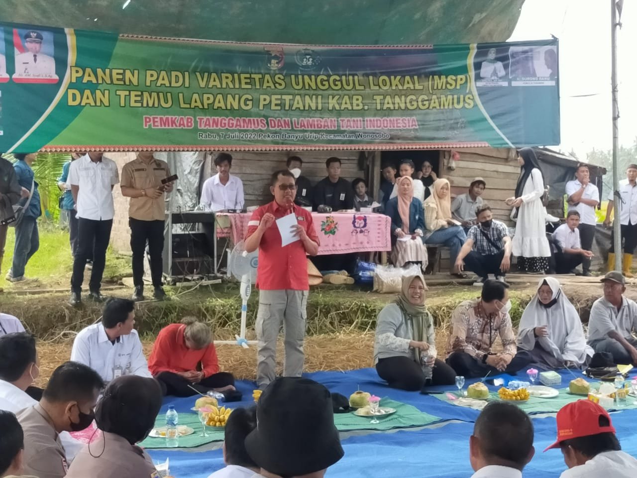 Wabup Tanggamus Buka Panen Raya Padi Varietas Unggul Lokal