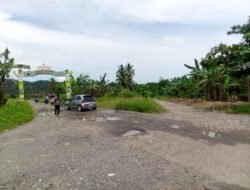 Jalan Jalur Dua Pasar Simpang Kagungan Tidak Terawat, Kurnain DPRD Tanggamus Respon Akan Usul