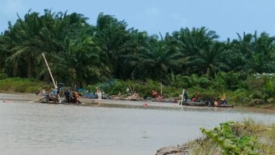 Penambang Timah Yang Diduga Masuk Kawasan Hutan produksi Pemali