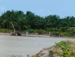 Penambang Timah Yang Diduga Masuk Kawasan Hutan produksi pemali.