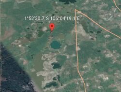 Penambang Timah Yang Diduga Masuk Kawasan Hutan produksi pemali.