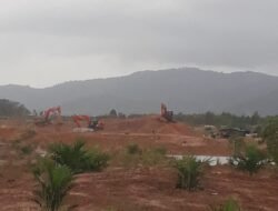 Lahan Exs Kobatin Dikerjakan Kosim Masih Beraktivitas Lebih Parahnya Menggunakan Alat Berat