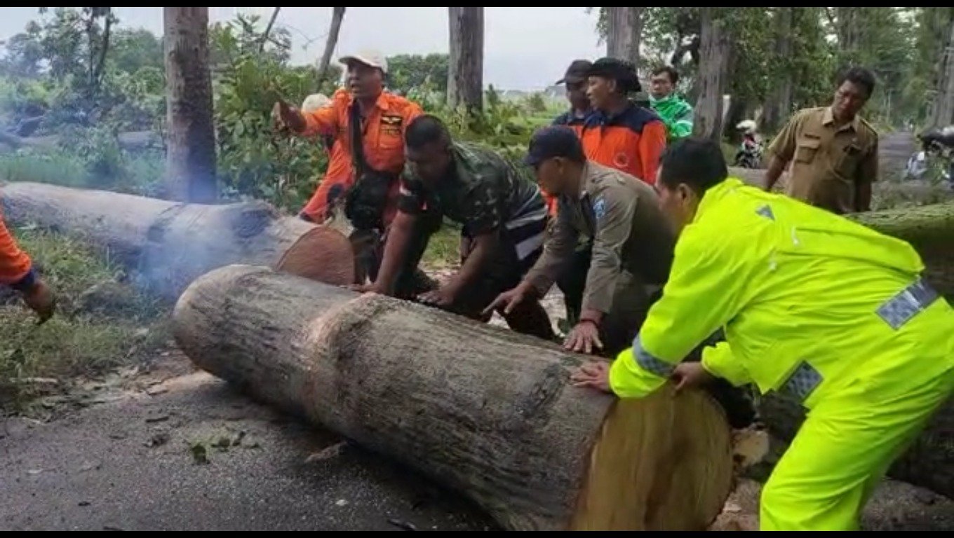 Gercep, Polisi Bersama TNI dan BPBD Evakuasi Pohon Tumbang, Akses Jalan Kembali Lancar