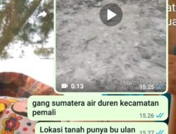 Lahan Pribadi Dijadikan Tempat Penambang Timah Ilegal Gang Sumatera
