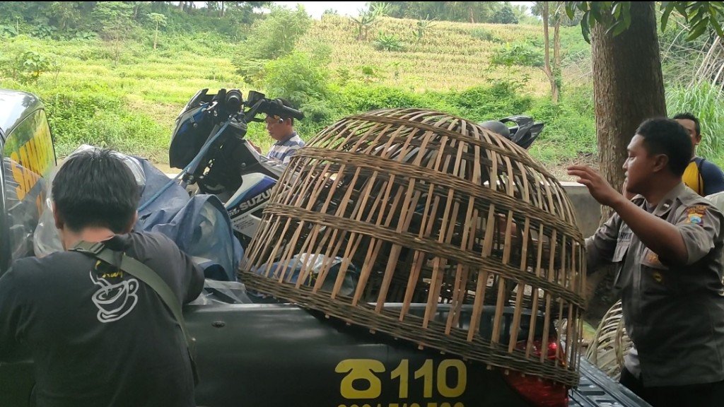 Polres Mojokerto Razia Judi Sabung Ayam di Dlanggu