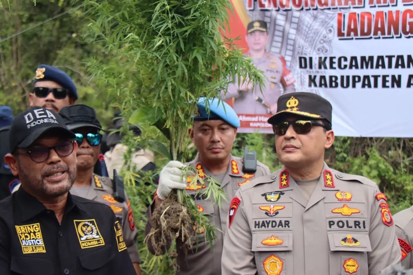 Kapolda Aceh: Keseluruhan Ada 43 Hektar Ladang Ganja Siap Panen Dimusnahkan