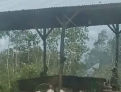 Pengorengan Dan Penampung Timah di Duga Illegal masih tetap beraktivitas.