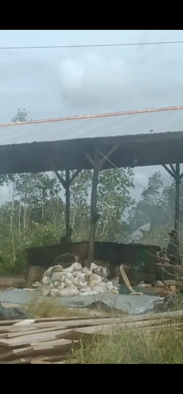 Pengorengan Dan Penampung Timah di Duga Illegal masih tetap beraktivitas.